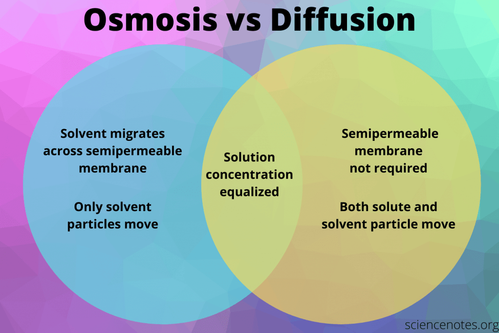 Difference Between Osmosis and Diffusion